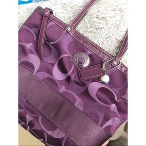 Coach Signature Purple Stripe Tote